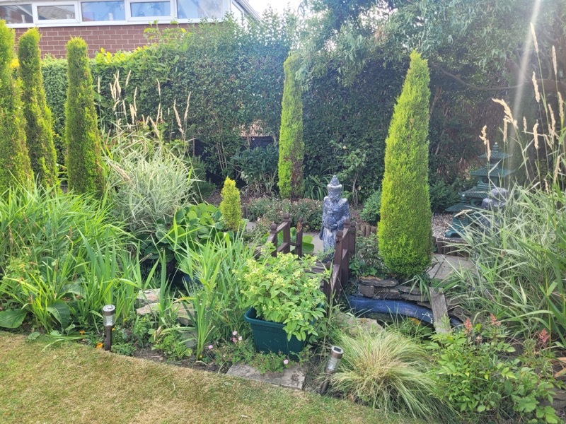 Other image for Barnsley’s best garden: How garden has become couple’s happy place